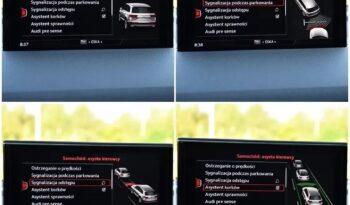 S-Line#Alcantary#Asystenty#Pano#Climatr#Kamera#Navi#FullLed#Prywatne!! full