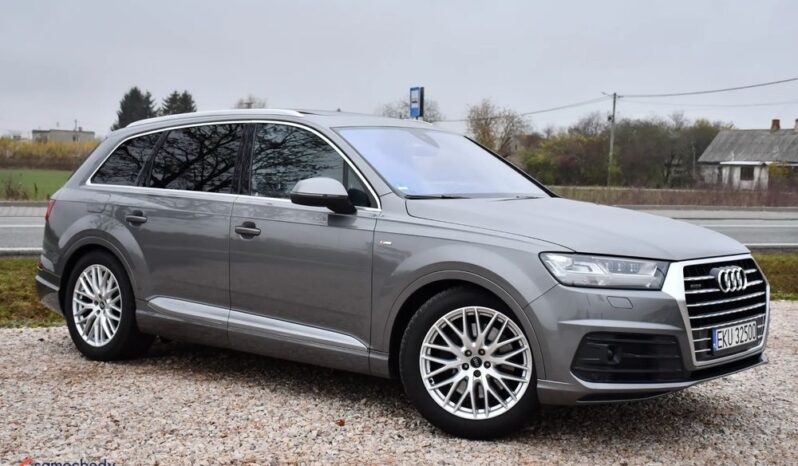 S-Line#Alcantary#Asystenty#Pano#Climatr#Kamera#Navi#FullLed#Prywatne!! full