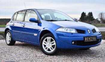 2.0i#135PS#Bixenon#Panorama#Climatronic#ASO#Świeży Import#Gwarancja!!! full