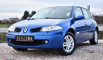 2.0i#135PS#Bixenon#Panorama#Climatronic#ASO#Świeży Import#Gwarancja!!! full